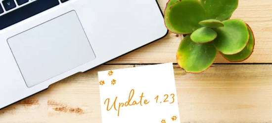 SchadenFUX24 Vorstellung Michelle Updates 8 1 1024x535.png