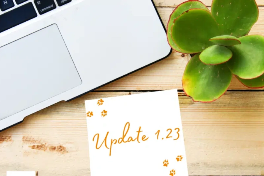 SchadenFUX24 Vorstellung Michelle Updates 8 1 1024x535.png